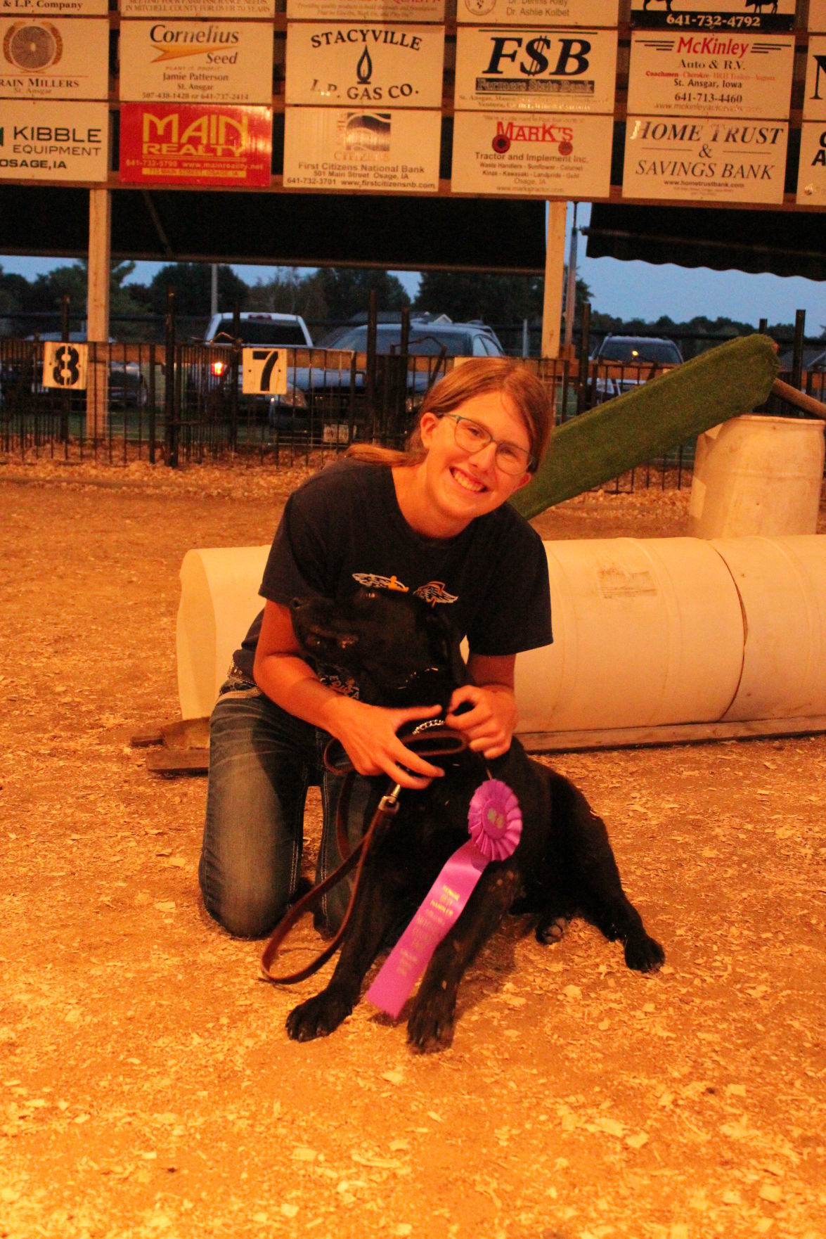 Dog Show 3